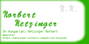 norbert metzinger business card